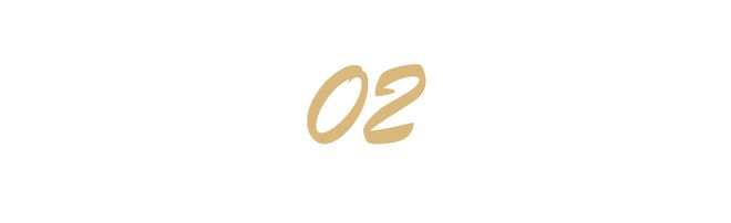 沙特在航展大采购中东第一支中械军或将出现Long8国际平台登录入口不止是歼10C(图3)